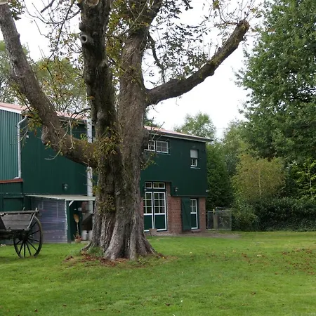 Ferienwohnung Weideglueck Osten Exterior photo